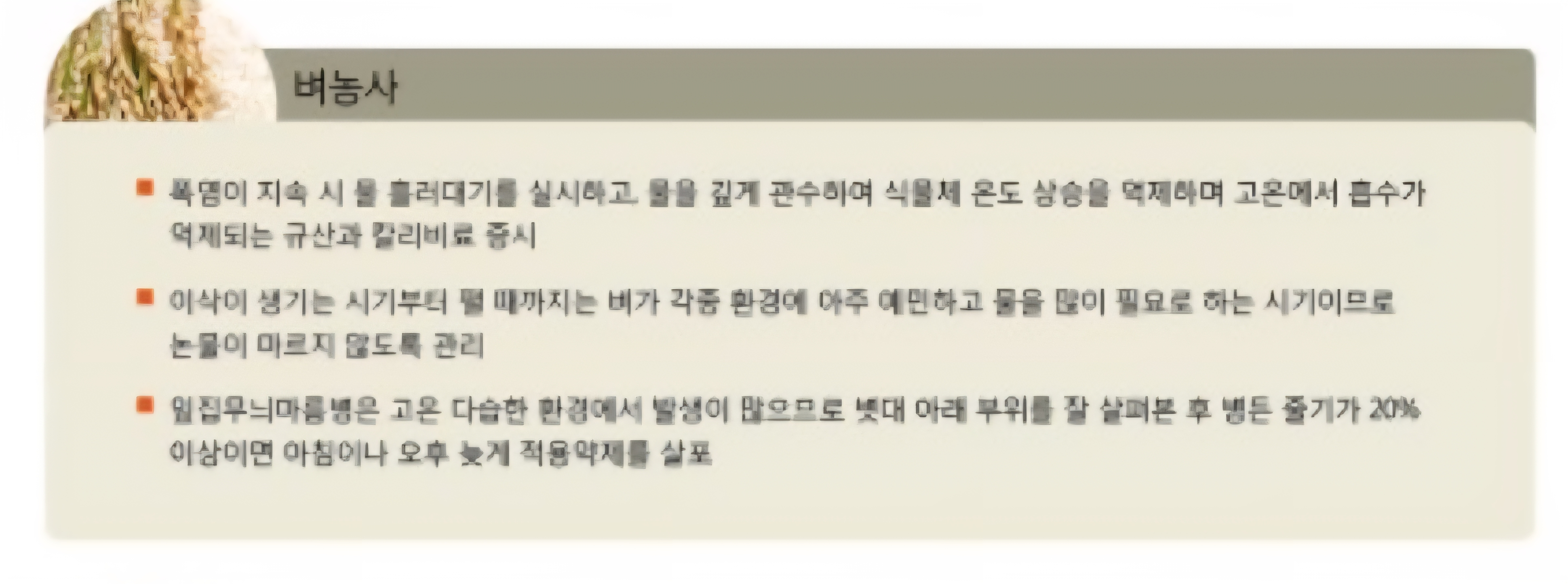 폭염예방 농업인 행동요령 안내 이미지 2