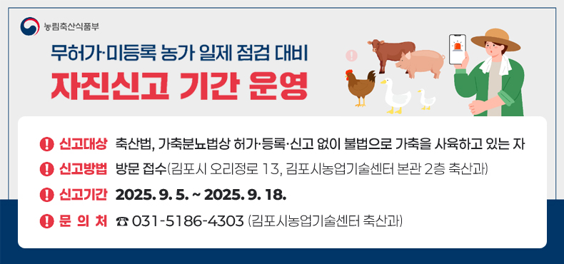 무허거, 미등록 농가 일제 점검 대비
자진신고 기간 운영
- 신고대상 : 축산법, 가축분뇨법상 허가‧등록‧신고 없이 불법으로 가축을 사육하고 있는 자
- 신고방법 : 방문 접수(김포시 오리정로 13, 김포시농업기술센터 본관 2층 축산과)
- 신고기간 : 2025. 9. 5. ~ 2025. 9. 18.
- 문 의 처 : ☎ 031-5186-4303 (김포시농업기술센터 축산과)